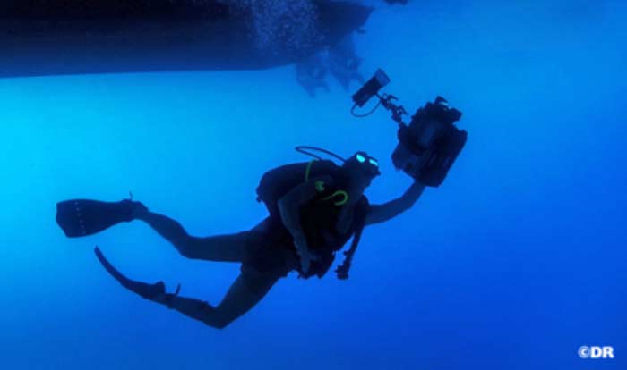 Festival "L’Odyssée de la Posidonie" : Des photographes sous-marins marocains primés Festival "L’Odyssée de la Posidonie" : Des photographes sous-marins marocains primés