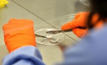 Produire des tissus humains par imprimante 3D Produire des tissus humains par imprimante 3D