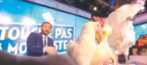 Pour la promotion du film «La Vache», Jamel Debbouze invite des animaux sur un plateau de télévision