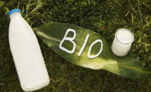 Le lait et la viande bio beaucoup plus riches en oméga-3