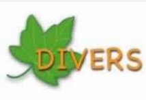Divers Divers