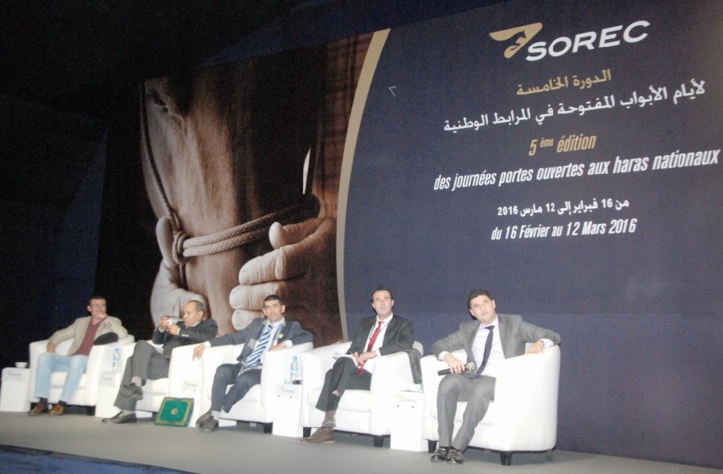 Journée Portes ouvertes au magnifique haras d’El Jadida Journée Portes ouvertes au magnifique haras d’El Jadida