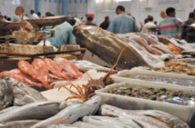 Les recettes issues du commerce du poisson au Maroc ont atteint 2MMDH