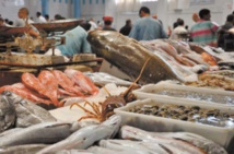 Les recettes issues du commerce du poisson au Maroc ont atteint 2MMDH Les recettes issues du commerce du poisson au Maroc ont atteint 2MMDH