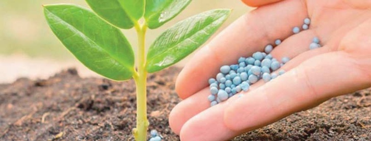 OCP Nutricrops dépasse les 5 millions de tonnes de production de TSP
