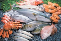 Hausse nette des produits commercialisés de la pêche côtière et artisanale