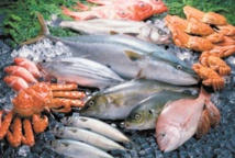 Hausse nette des produits commercialisés de la pêche côtière et artisanale Hausse nette des produits commercialisés de la pêche côtière et artisanale