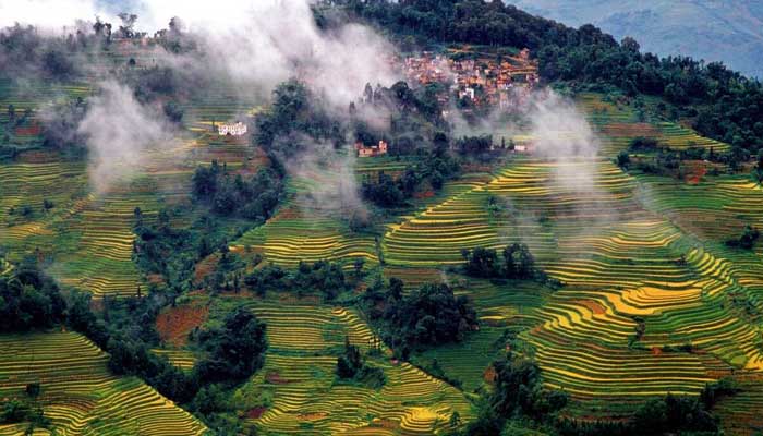 Mise en exergue du rôle central de la culture dans le développement durable et intégré Mise en exergue du rôle central de la culture dans le développement durable et intégré