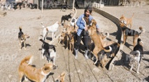 Salima Kadaoui, la militante de la cause animale