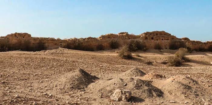 Lancement des fouilles archéologiques sur le site de l'ancienne cité de "Mouchtraya" à El Gharbia Lancement des fouilles archéologiques sur le site de l'ancienne cité de "Mouchtraya" à El Gharbia