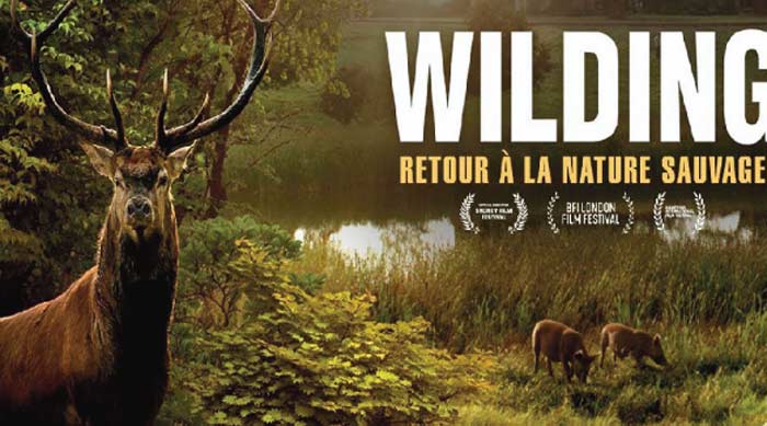 "Wilding" décroche le Grand Prix du Festival international des films d’environnement