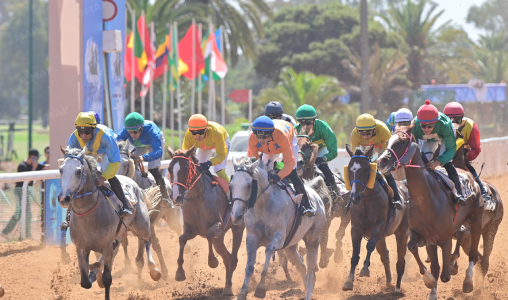 Le cheval "Casa de Campo" remporte la 4ème édition du Grand Prix d'Afrique 2025 des courses hippiques