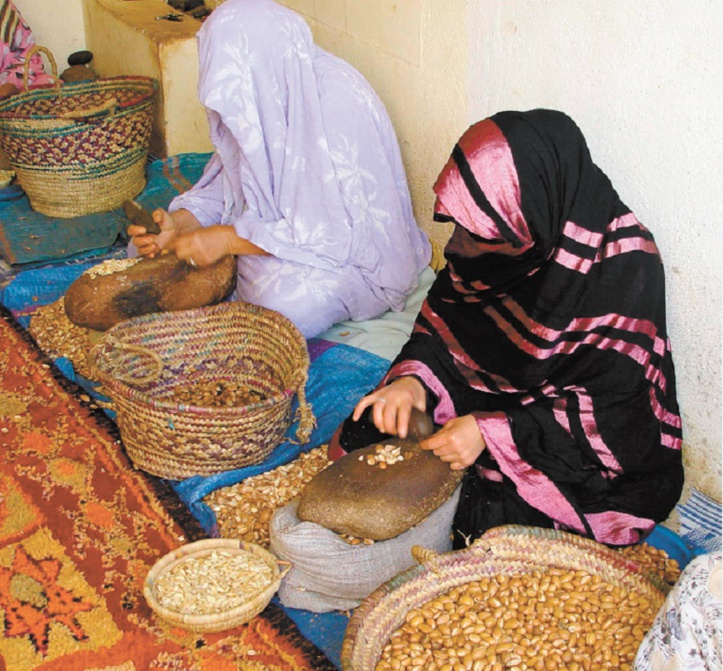 Le gouvernement accouche d’un rapport biaisé sur les ONG Le gouvernement accouche d’un rapport biaisé sur les ONG