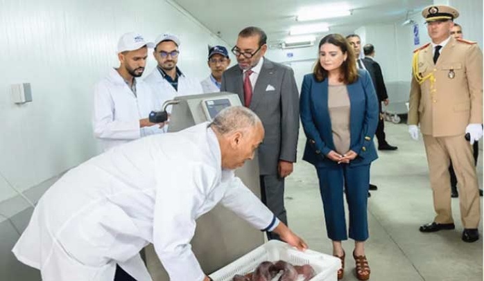 Nouveau port de pêche de Casablanca : Un levier stratégique pour promouvoir le secteur de la pêche Nouveau port de pêche de Casablanca : Un levier stratégique pour promouvoir le secteur de la pêche