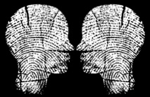 L’identité culturelle entre réalité et leurre L’identité culturelle entre réalité et leurre