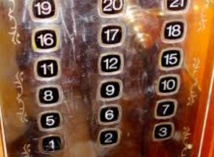 Insolite