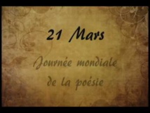 Bouillon de culture