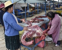 La viande de lama, pari gastronomique de la Bolivie