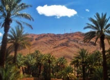 La démocratie participative au cœur d’un séminaire international à Zagora La démocratie participative au cœur d’un séminaire international à Zagora