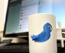 Twitter, géant menacé des  réseaux sociaux