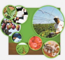 Les femmes occupent 112 postes de responsabilité au sein du ministère de l'Agriculture et de la Pêche maritime Les femmes occupent 112 postes de responsabilité au sein du ministère de l'Agriculture et de la Pêche maritime