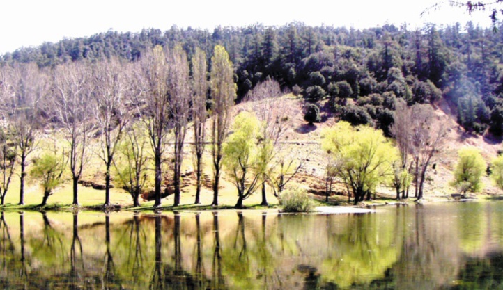 Sensibilisation sur l'importance de préserver les forêts Sensibilisation sur l'importance de préserver les forêts