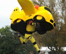 Insolite