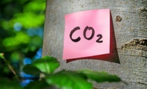 Les végétaux s'adaptent mieux au réchauffement Les végétaux s'adaptent mieux au réchauffement