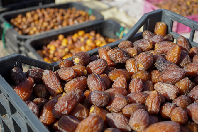 Campagne agricole 2025-2026: La production prévisionnelle des dattes s’élève à 160.000 tonnes