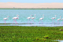 La biodiversité des écosystèmes devrait être une priorité nationale La biodiversité des écosystèmes devrait être une priorité nationale