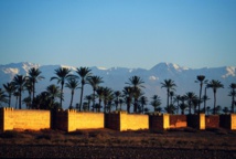 Lancement de la première structure associative africaine de biologie médicale Lancement de la première structure associative africaine de biologie médicale