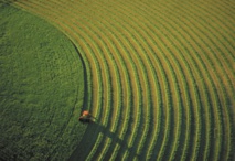 Pour une agriculture compétitive, durable et résiliente