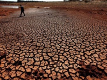 Des milliards de dollars d'actifs financiers menacés par le réchauffement Des milliards de dollars d'actifs financiers menacés par le réchauffement