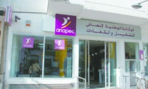 Le chemin vers l’emploi, entre opportunités et outils Le chemin vers l’emploi, entre opportunités et outils