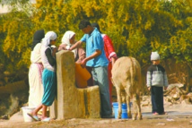 50 milliards toujours dans les tiroirs 50 milliards toujours dans les tiroirs