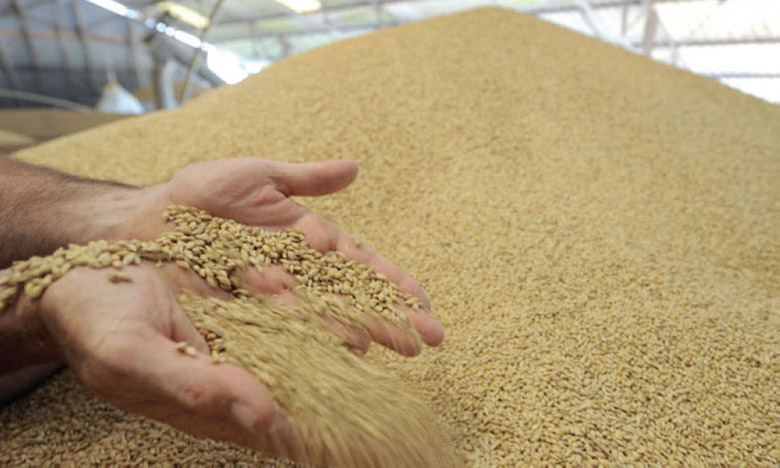 Baisse des prix mondiaux des produits alimentaires en novembre