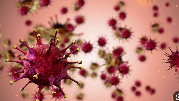 Un virus familier, une dynamique nouvelle