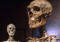 Premier séquençage des gènes du chromosome Y de l'homme de Néandertal Premier séquençage des gènes du chromosome Y de l'homme de Néandertal