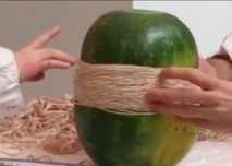 Insolite : Explosion d'une pastèque Insolite : Explosion d'une pastèque