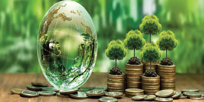 Comment la transition verte peut soutenir le développement de l'Afrique