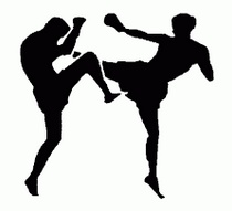Championnats de muay-thai et de full-contact Championnats de muay-thai et de full-contact