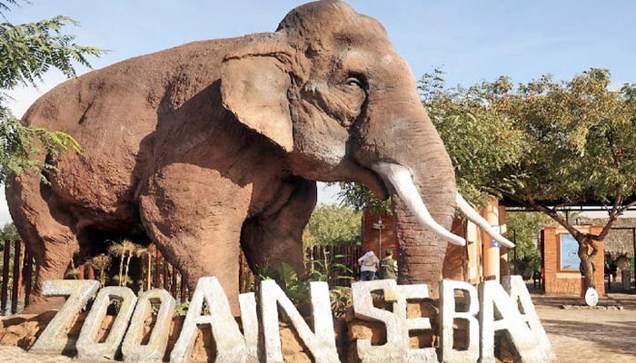 Le parc zoologique d’Aïn Sebaâ rouvre ses portes après un vaste réaménagement