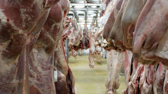 Recul des prix mondiaux des produits alimentaires en décembre 2025