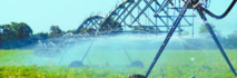 16 entreprises espagnoles exposent  leur know-how en matière d'irrigation