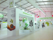 Du phosphate marocain pour le développement de l’Afrique Du phosphate marocain pour le développement de l’Afrique