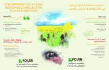 Montée en puissance de la filière oléagineuse Montée en puissance de la filière oléagineuse