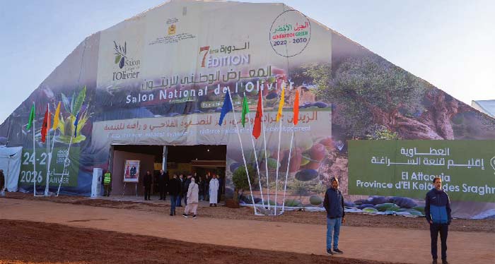 Salon national de l’olivier : Un intérêt accru des opérateurs mondiaux pour les produits oléicoles marocains