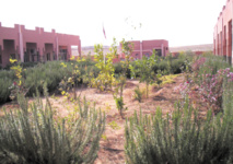 L’éducation au service de l’environnement dans la région de Casablanca-Settat L’éducation au service de l’environnement dans la région de Casablanca-Settat