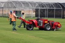 A la recherche de l'herbe parfaite pour le Mondial au Qatar