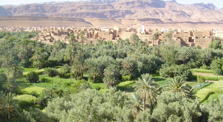 Le programme de développement territorial durable des oasis de Tafilalet, un projet exemplaire de développement local Le programme de développement territorial durable des oasis de Tafilalet, un projet exemplaire de développement local